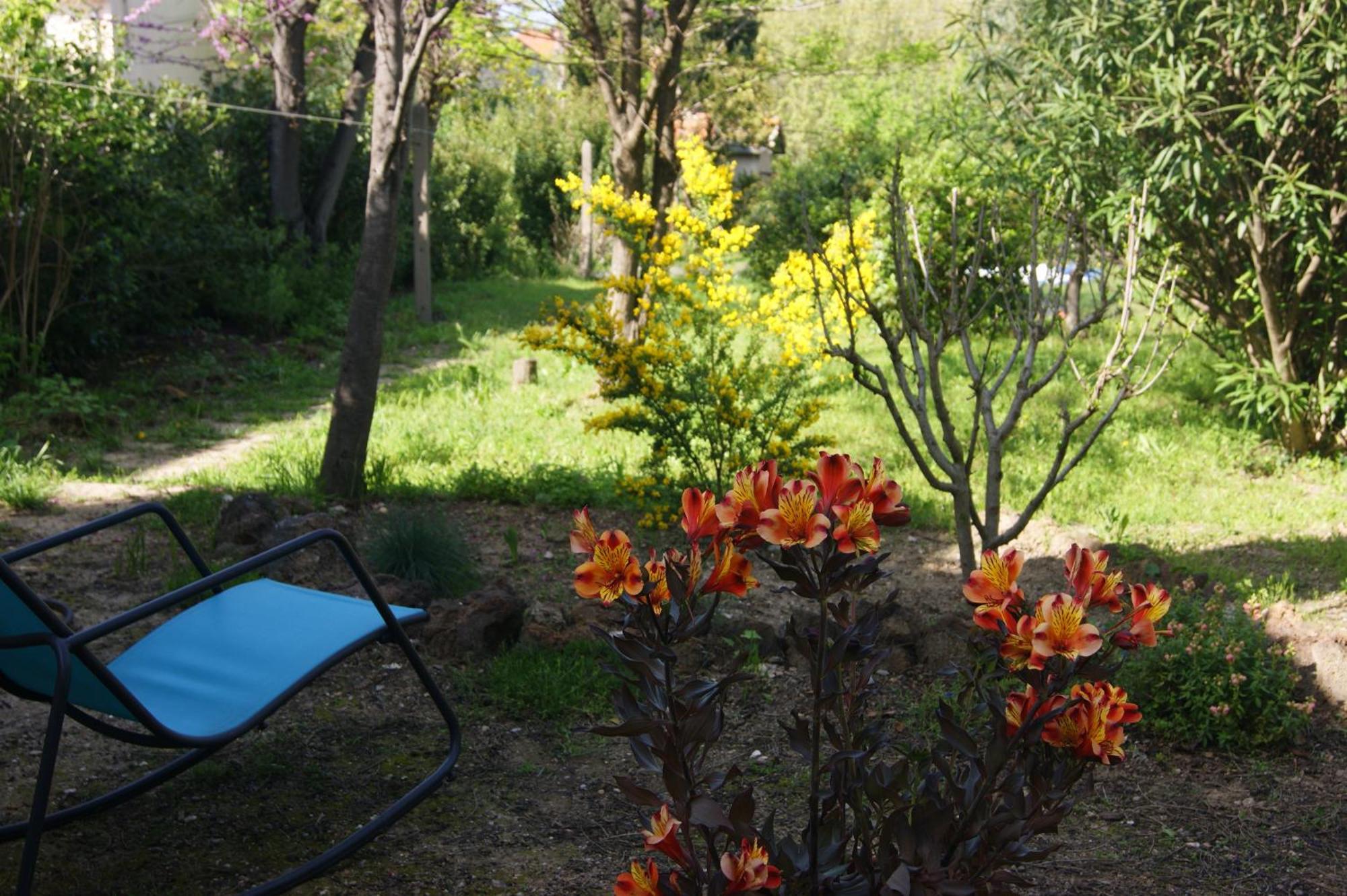 Le Petit Moliere Bed & Breakfast Servian Dış mekan fotoğraf